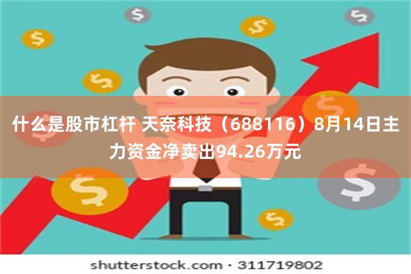 什么是股市杠杆 天奈科技（688116）8月14日主力资金净卖出94.26万元