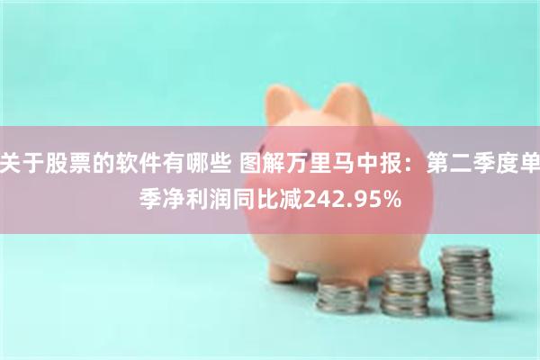 关于股票的软件有哪些 图解万里马中报：第二季度单季净利润同比减242.95%