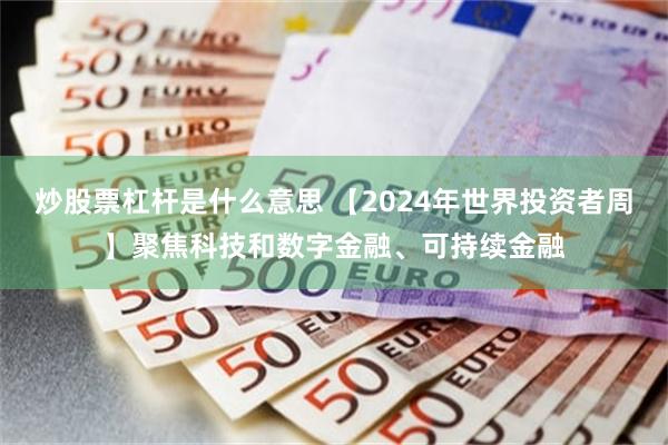 炒股票杠杆是什么意思 【2024年世界投资者周】聚焦科技和数字金融、可持续金融