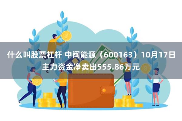 什么叫股票杠杆 中闽能源（600163）10月17日主力资金净卖出555.86万元