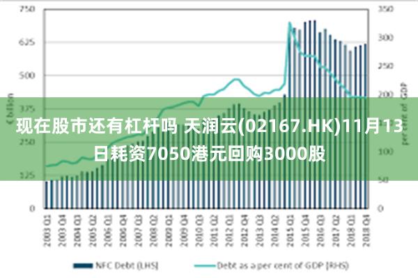 现在股市还有杠杆吗 天润云(02167.HK)11月13日耗资7050港元回购3000股