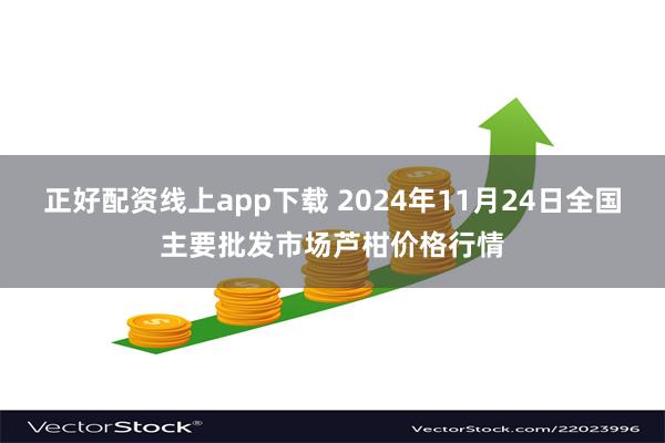 正好配资线上app下载 2024年11月24日全国主要批发市场芦柑价格行情