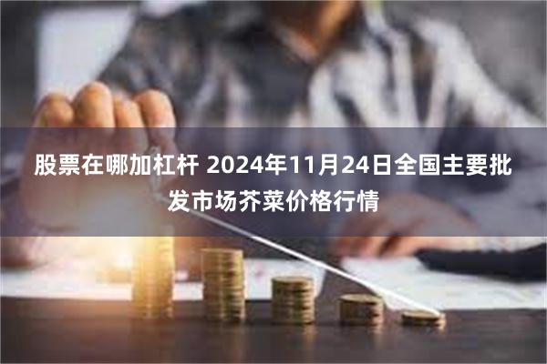 股票在哪加杠杆 2024年11月24日全国主要批发市场芥菜价格行情