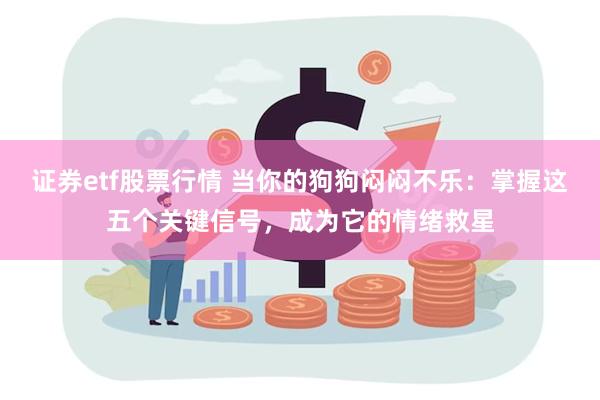 证券etf股票行情 当你的狗狗闷闷不乐：掌握这五个关键信号，成为它的情绪救星