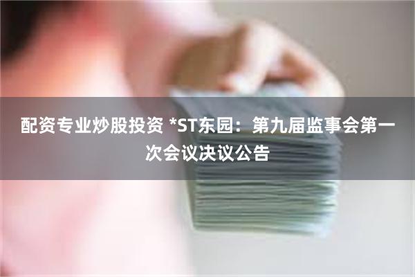 配资专业炒股投资 *ST东园：第九届监事会第一次会议决议公告