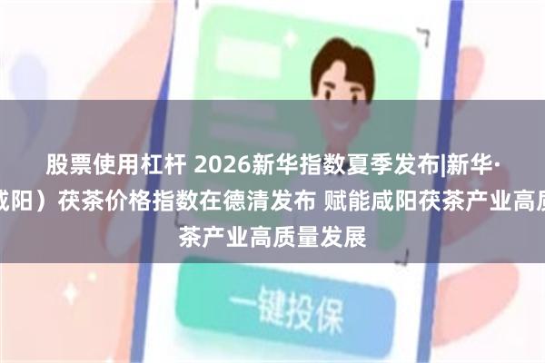 股票使用杠杆 2026新华指数夏季发布|新华·中国（咸阳）茯茶价格指数在德清发布 赋能咸阳茯茶产业高质量发展
