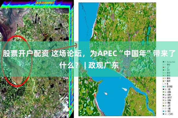 股票开户配资 这场论坛，为APEC“中国年”带来了什么？ | 政观广东
