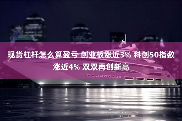现货杠杆怎么算盈亏 创业板涨近3% 科创50指数涨近4% 双双再创新高